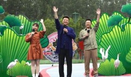 东莞电影院爆料视频最新,独家揭秘幕后故事与精彩瞬间